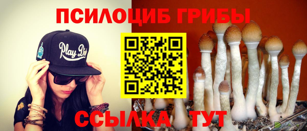 Галлюциногенные грибы MAGIC MUSHROOMS Ейск